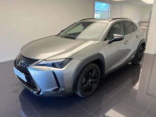 Używany Lexus UX 2021