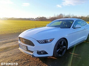 Używany Ford Mustang 2017