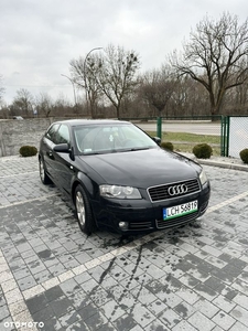 Audi A3 1.9 TDI Ambition