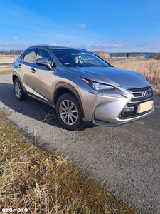 Lexus NX 300h Elegance AWD