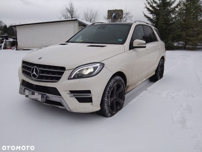 Mercedes-Benz ML 250 BlueTEC 4MATIC 7G-TRONIC