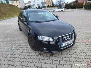 AUDI A3 8P 1.6 2008r benzyna + LPG