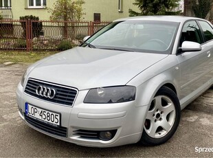 Audi A3 8P 1.6 MPI