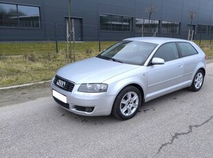 Audi A3 8P 2.0 Benzyna 2003r Klima Alu Ładna Sprawna Serwisowana