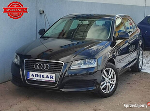 Audi A3 8P (2003-2012)