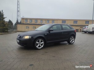 Audi A3 8p 2003r 260tys km 1.6mpi 102konie zadbany od kobiety