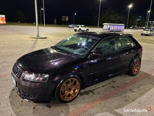 Audi A3 8P 2.0TDI BKD 220KM 480NM