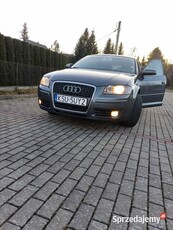 AUDI A3 8P SPORTBACK 1.6 MPI 102KM Benzyna - opłacone, zarejestrowane !!!!!