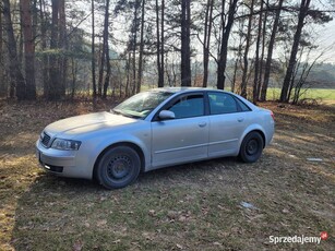 Audi A4 B6 1.6 benzyna 2004 (a6,a5,b6,b7,b8)