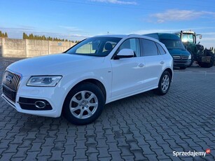 Audi Q5 2.0 TDI, S-Line Chrom skrzynia 6 biegowa