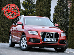 Audi Q5 2.0TDI(177KM)*Lift*Bi-Xenon*Led*Navi*El.Fotele*El.Klapa*Welur*Alu1…