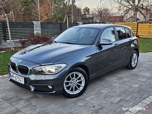 BMW F20 116i 5 drzwi zarejestrowane