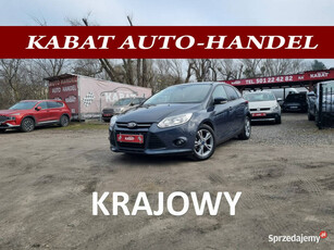 Ford Focus Salon PL-I WŁ-Klimatronik-Park asisst-Pdc-Podgrzewana Szyba-Alu…