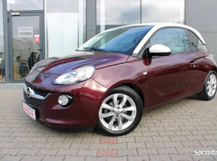 Opel Adam, 2013r. | Salon PL | 1wł | 2kpl kół | Jasne Wnętrze |