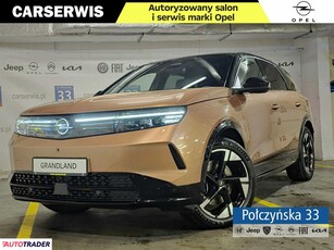 Opel Grandland X elektryczny 213 KM 2024r. (Warszawa)