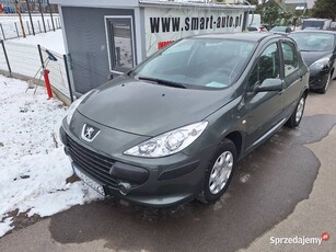 Peugeot 307 1.6 16V Hatchback