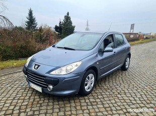 Peugeot 307 1.6 hdi