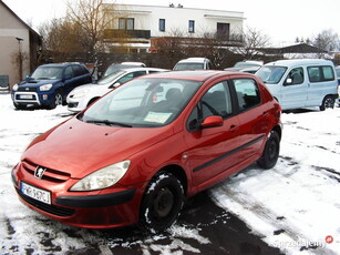 Peugeot 307 2,0 Etylina 136 KM 2003 r