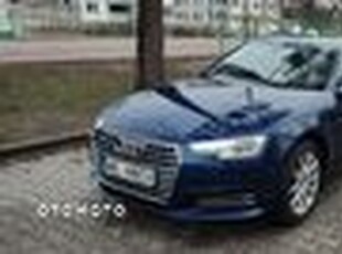 Używany Audi A4 2016