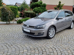 Volkswagen Golf 2.0 TDI, BI-Xenon, Alu , Automat , kamera cofania 2014 r V…