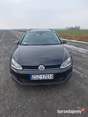 Volkswagen Golf VII 2013 do negocjacji