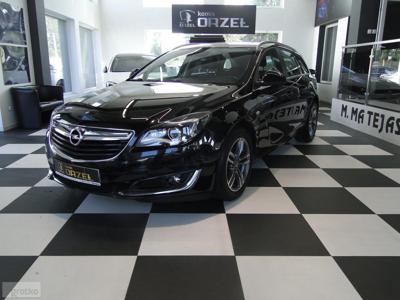 Opel Insignia II Salon Pl. / Vat23% / Eco / I Wł. / Tempomat / 6 B