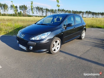 Peugeot 307 1.6 HDi