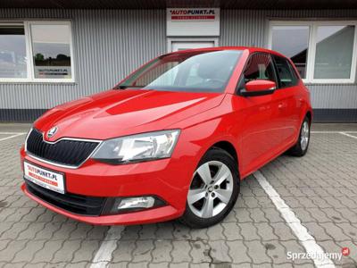 Skoda Fabia, 2018r. ! Salon PL ! F-vat 23% ! Bezwypadkowy !…