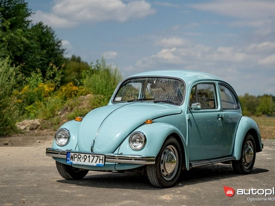 Volkswagen Beetle