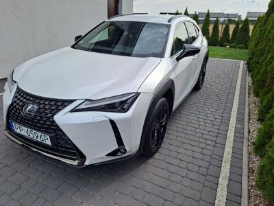 Lexus UX full wersja, okazja!!!