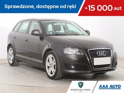 Audi A3 8P Hatchback 3d 1.4 TFSI 125KM 2008