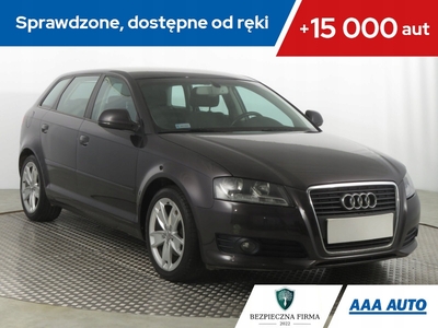 Audi A3 8P Hatchback 3d 1.4 TFSI 125KM 2009