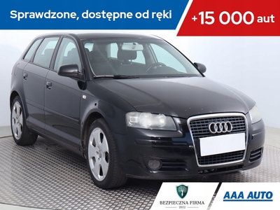 Audi A3 8P Hatchback 3d 1.6 102KM 2004