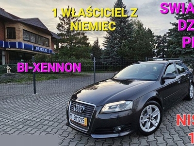 Audi A3 8P Hatchback 3d 1.6 TDI 105KM 2009