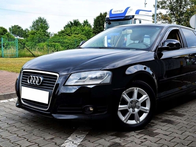 Audi A3 8P Hatchback 3d 1.9 TDI 105KM 2008