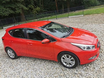 Kia Ceed II Hatchback 5d Facelifting 1.4 DOHC 100KM 2015