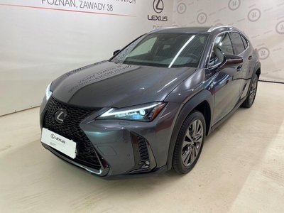 Lexus 2023