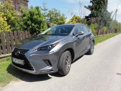 Lexus NX 300h Elegance AWD, ogrz. fotele , salon Polska