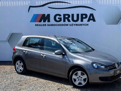 Volkswagen Golf VI Hatchback 5d 1.4 TSI 122KM 2010