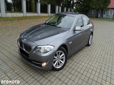 BMW Seria 5 520d Edition Fleet