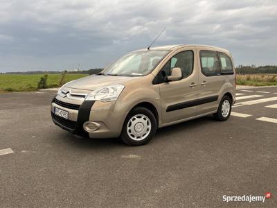 Citroen Berlingo 2010