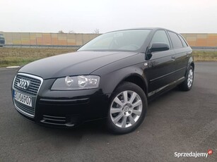 Audi a3 8p 1.6 MPI