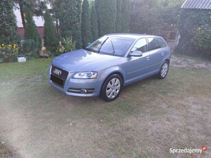 Audi A3 8P 1.8TFSI