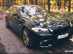 BMW f10 525d (3.0 204km) 2012 zadbana