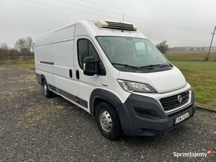 Fiat Ducato 3.0 HDI 180 KM Chłodnia do przewozu leków, ThermoKing