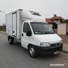 Fiat Ducato chłodnia mroźnia kontener