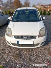 Ford Fiesta 1,4 TDCI