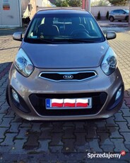 Kia Picanto 2011 XL 5 miejsc nowe opony klima polski salon okazja