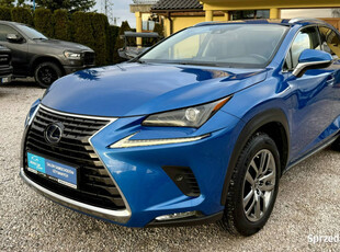 Lexus NX 300h,Hybryda,4x4,Full,Europa I (2014-2021)