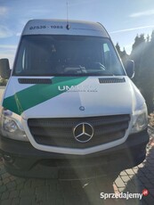 Mercedes Benz sprinter 313